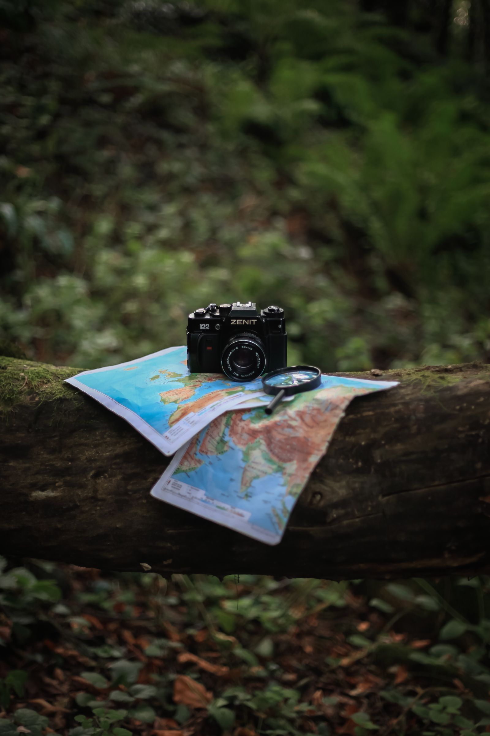 Map and compass arranged on a forest log